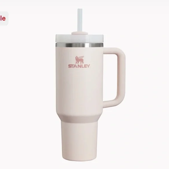 🆕 Stanley - Picture 8 of 10